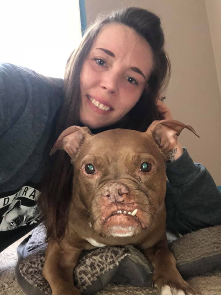 Nicole Wertz, Founder at Abby's Angels Animal Haven