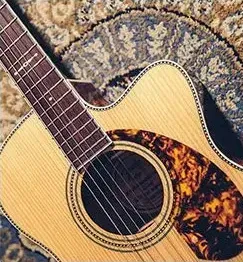 Beginner acoustic guitar dreadnought body style