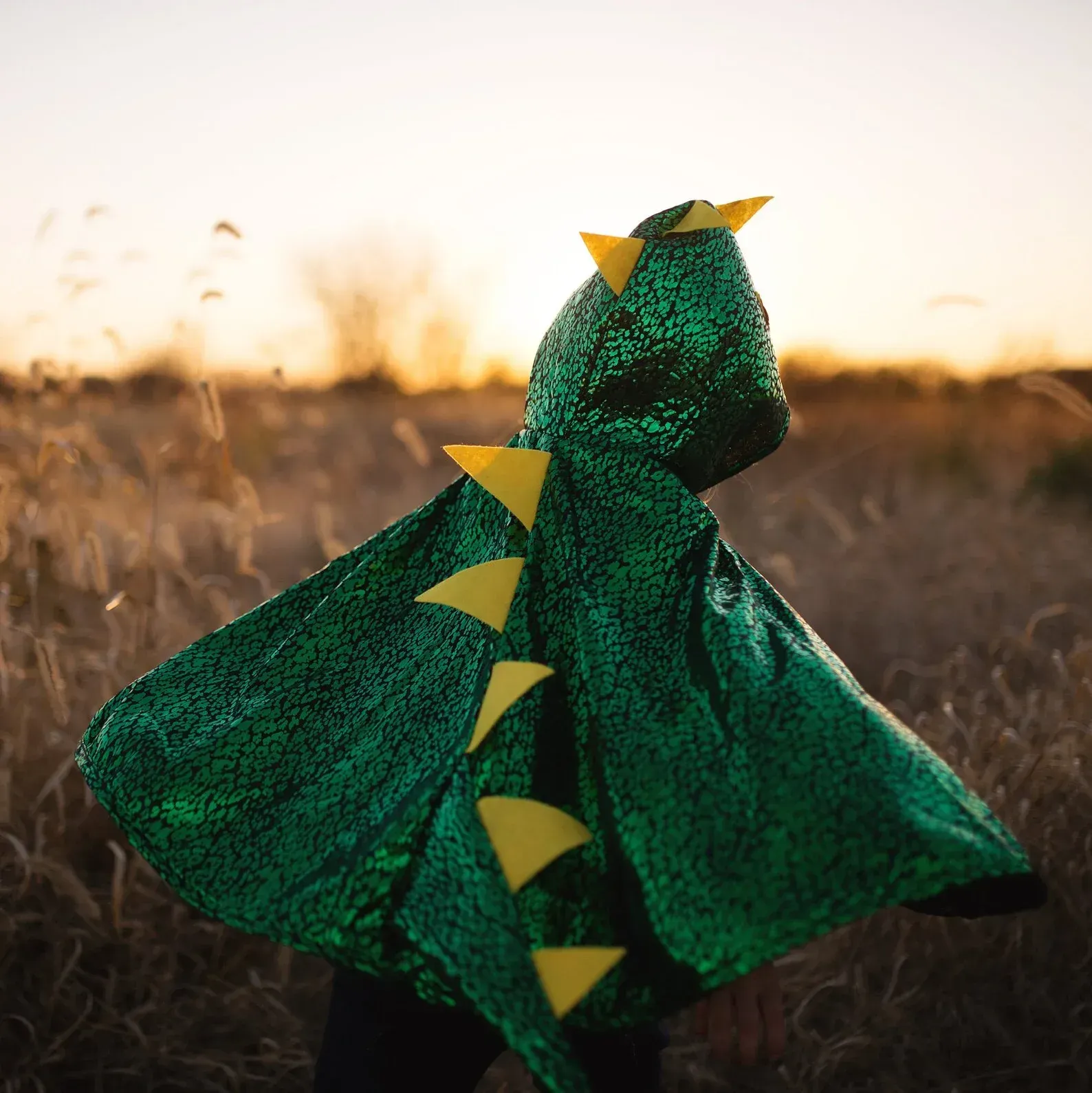 Person in a green dragon costume standing in a field at sunset