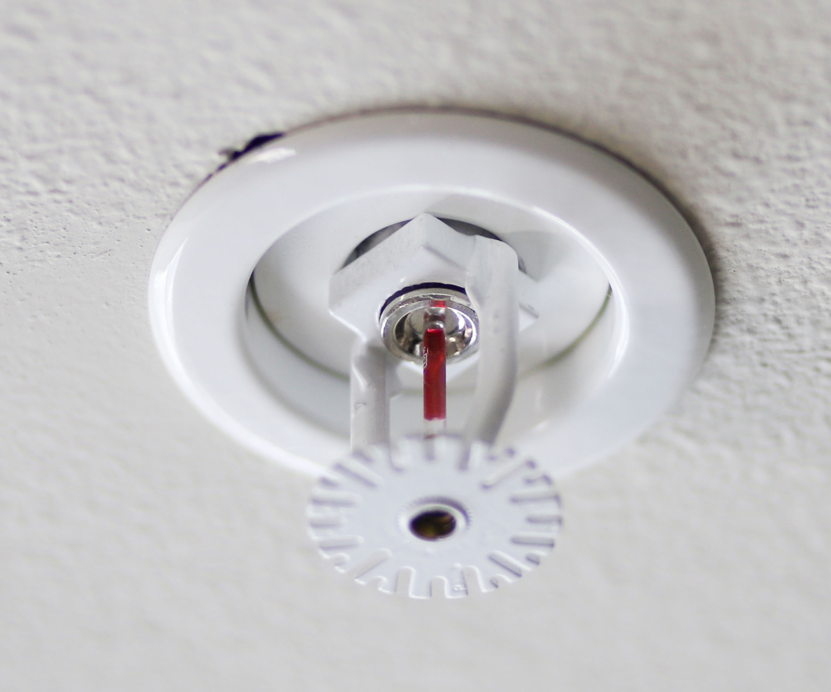 White fire sprinkler head installed in a white ceiling.