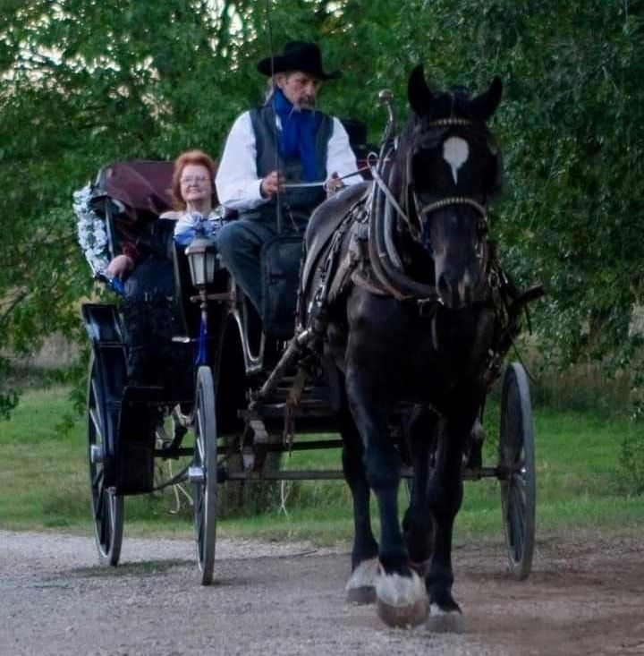 carriage ride