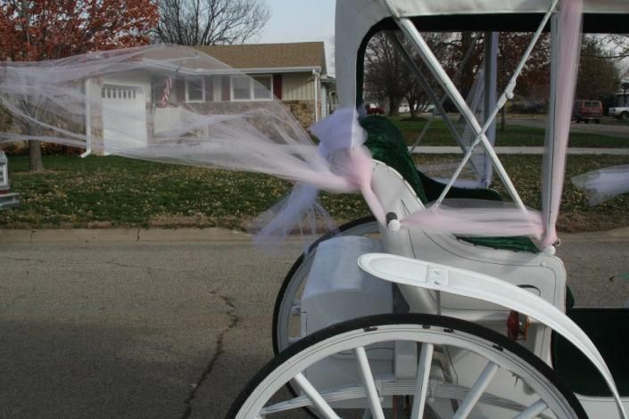 pink tulle on horse drawn carriage