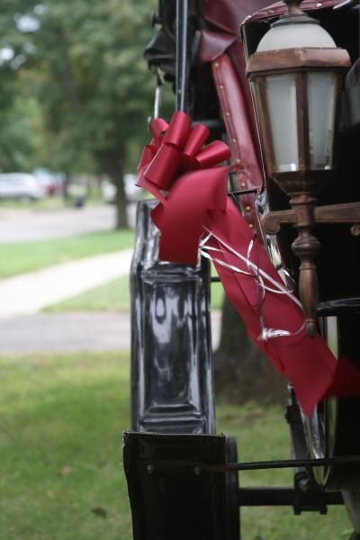 red bow on horse drawn carriage