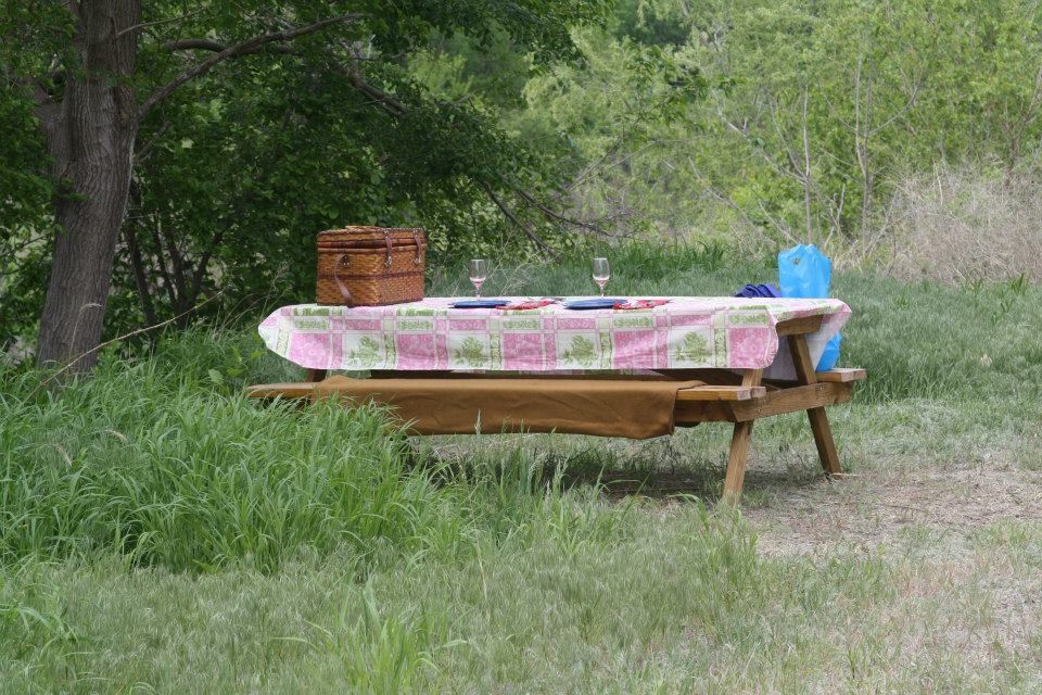 picnic under green trees
