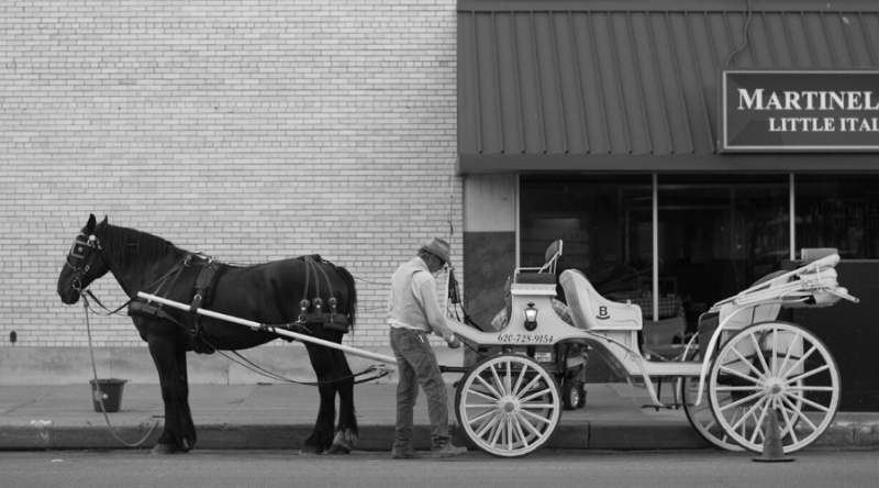 black and white portrait of horse drawn carriage