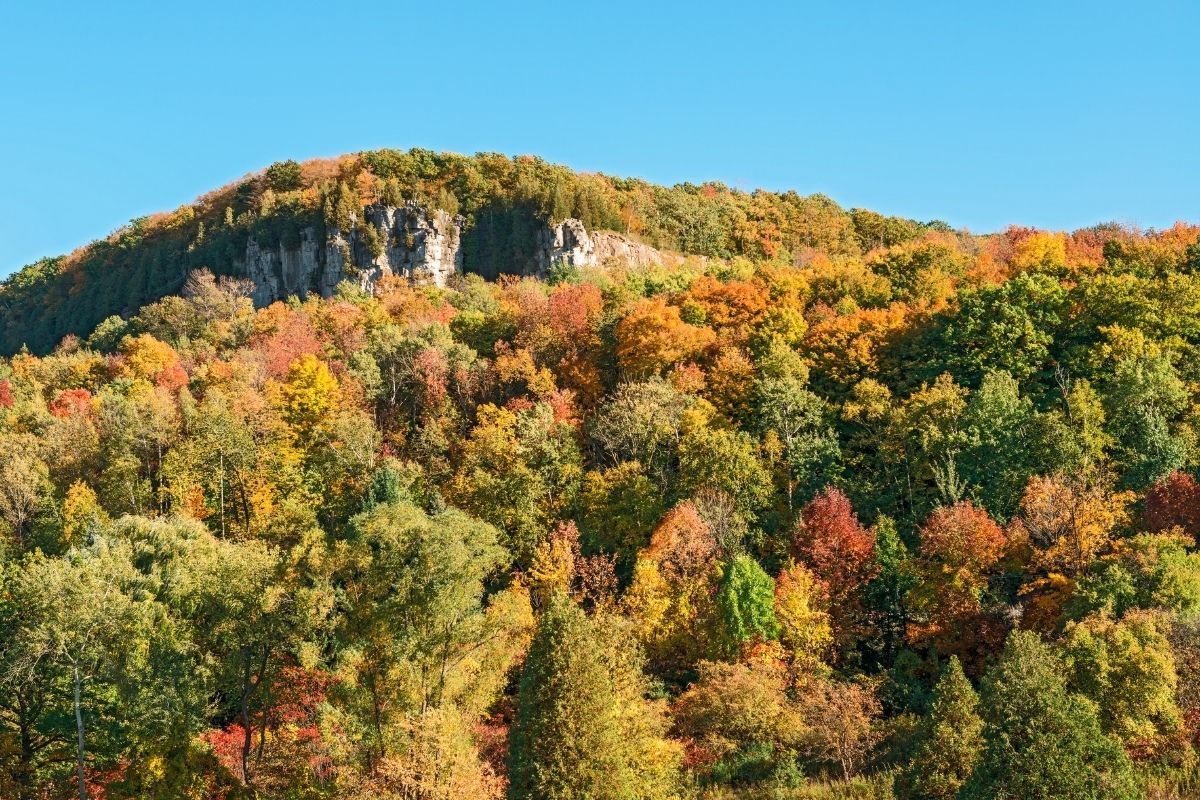 Autumn hillside covered in orange and gold trees under a blue sky