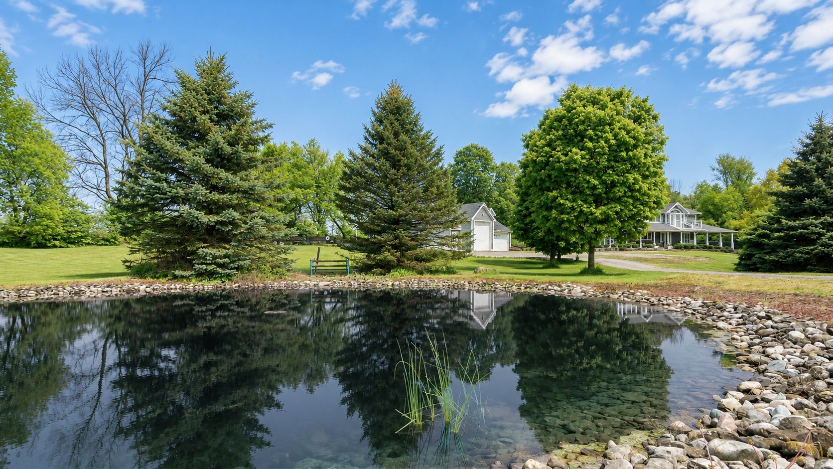 Reflective pond beside evergreens and rocks under a bright blue sky in a landscaped park