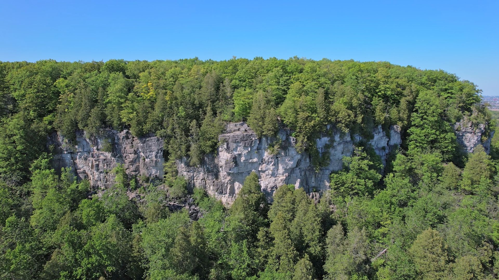 An aerial view of a cliff covered in trees on a sunny day.