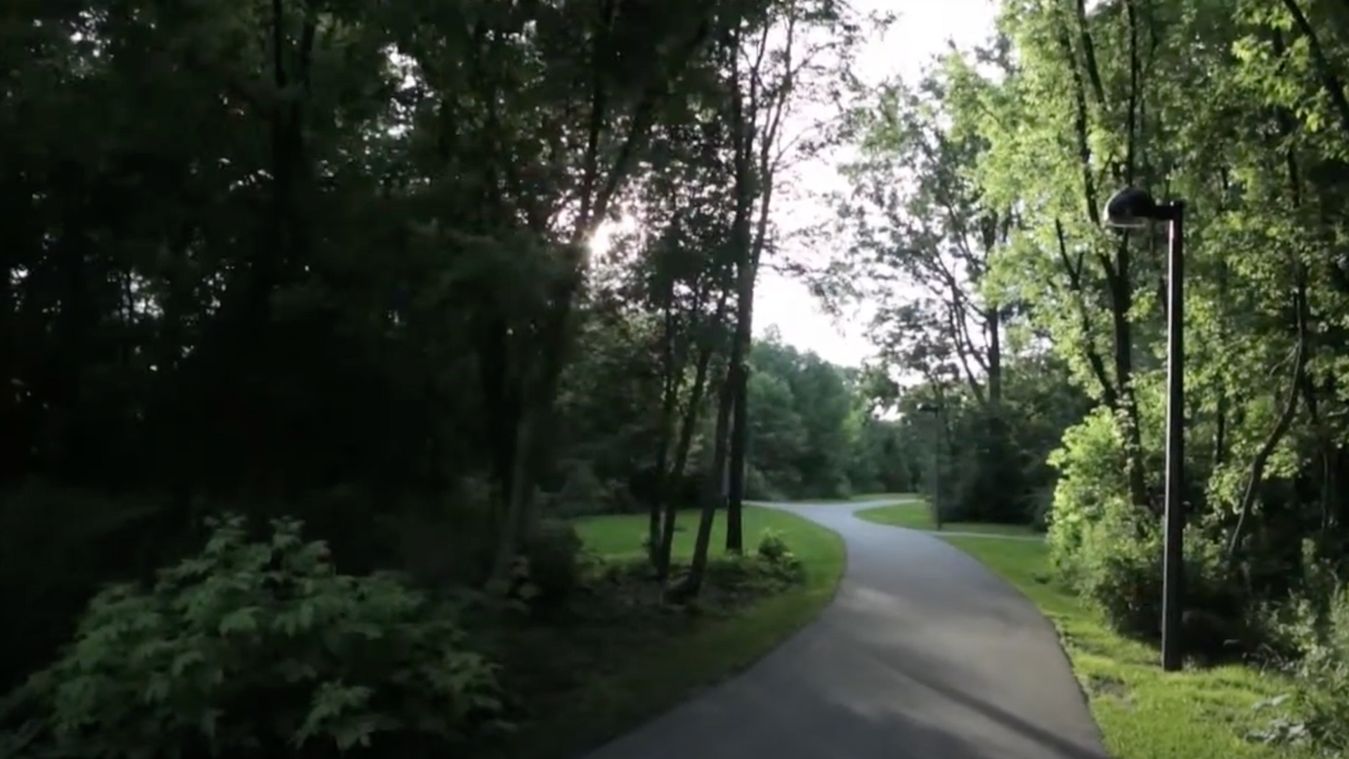 Tree-lined paved path curving through a sunlit green park
