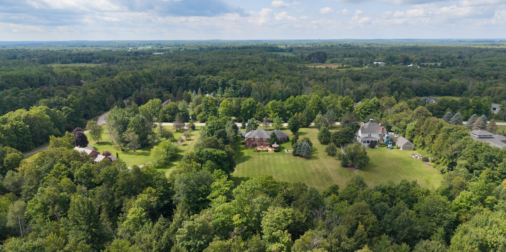 Aerial view of a green suburban neighborhood surrounded by dense forest under a hazy sky