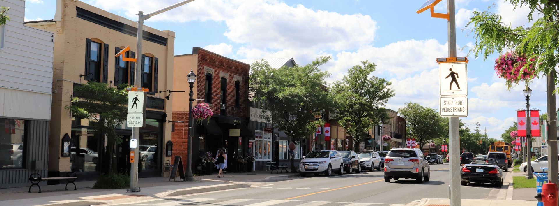 Downtown street with shops, cars, trees, and pedestrian crossing signs on a sunny day