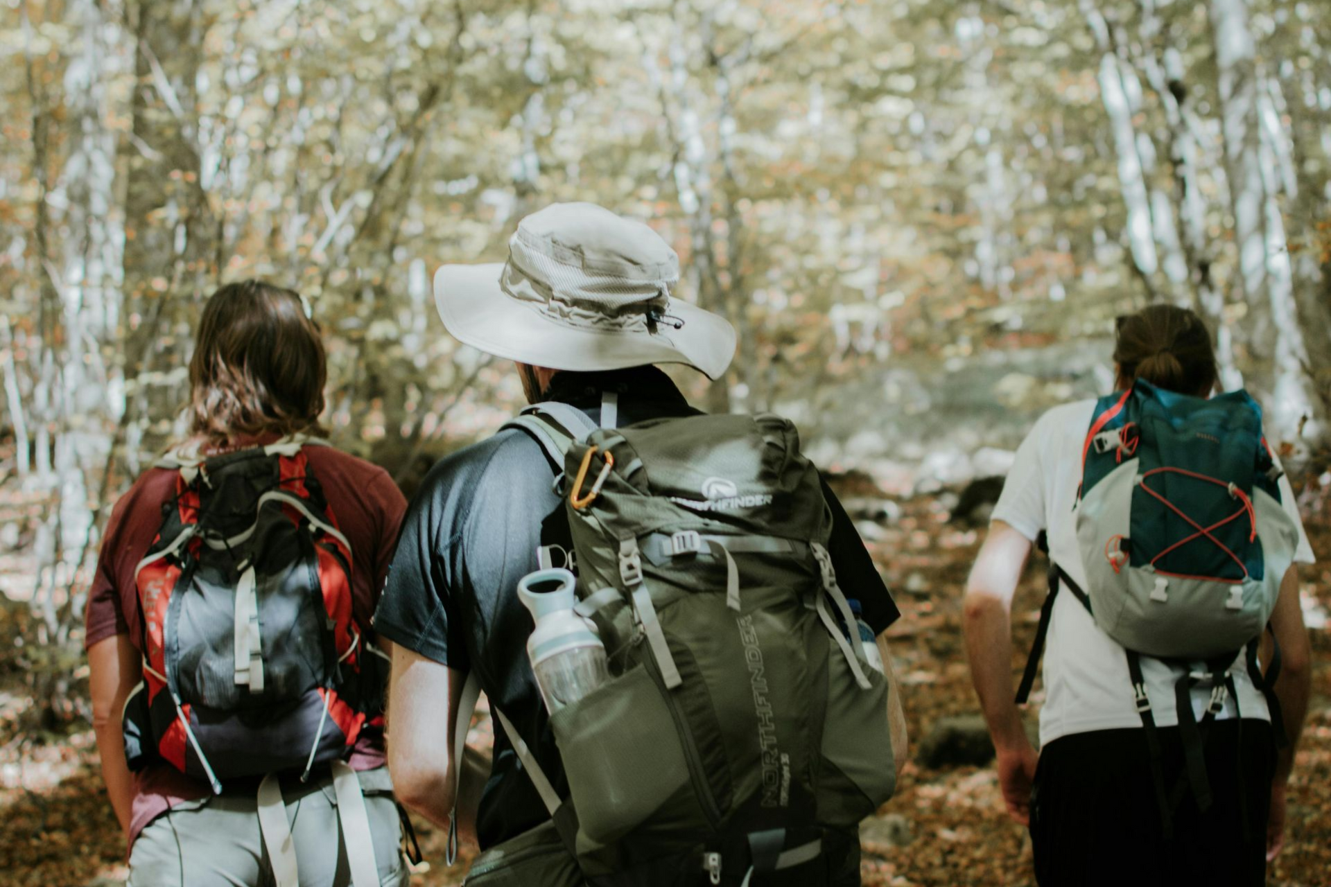 Three hikers with backpacks walking on a forest trail in dappled sunlight