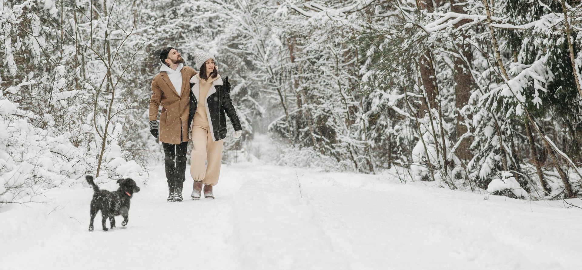 A man and woman are walking a dog in the snow.