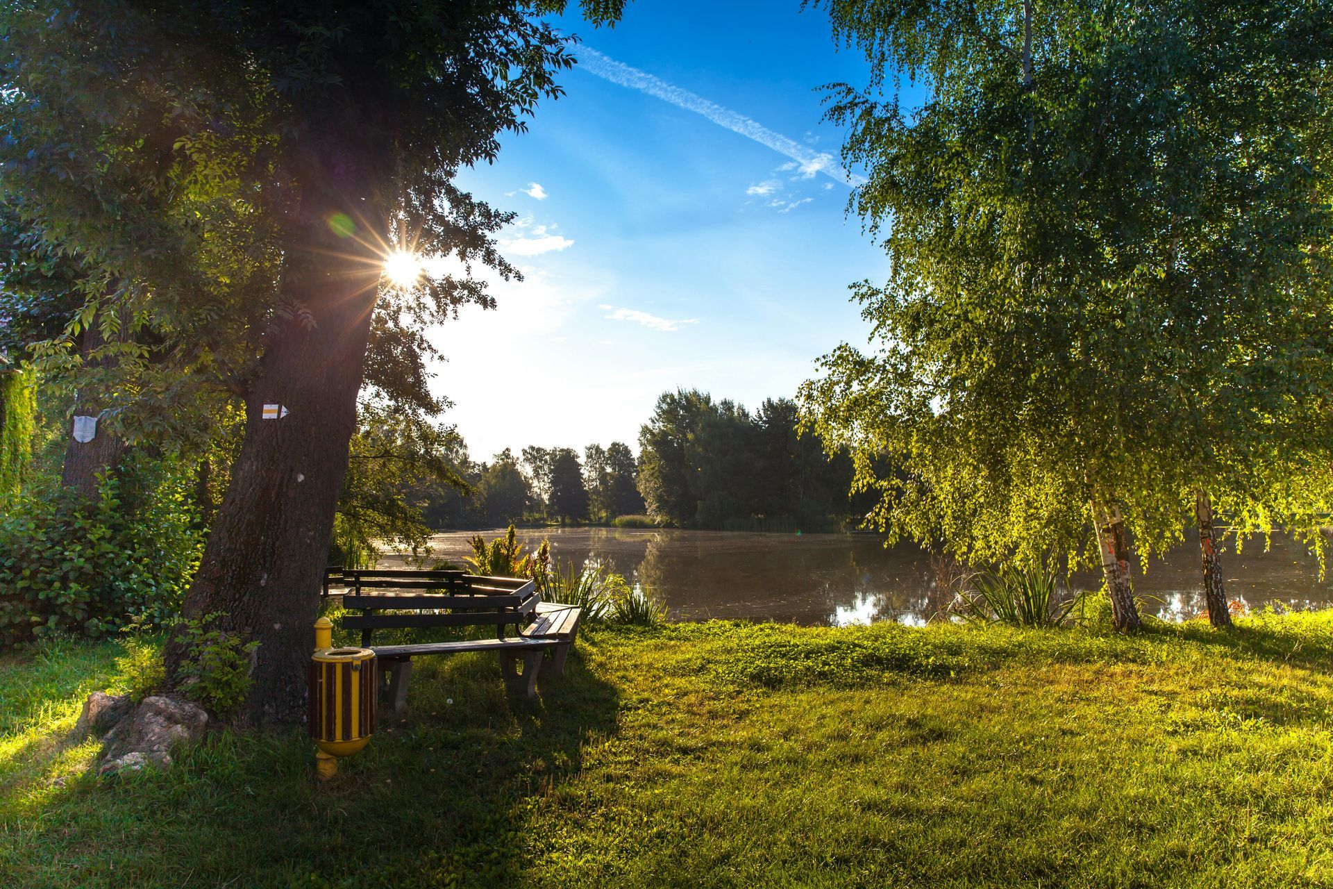 Sunlit park by a river, with trees, grass, and benches under a clear blue sky.