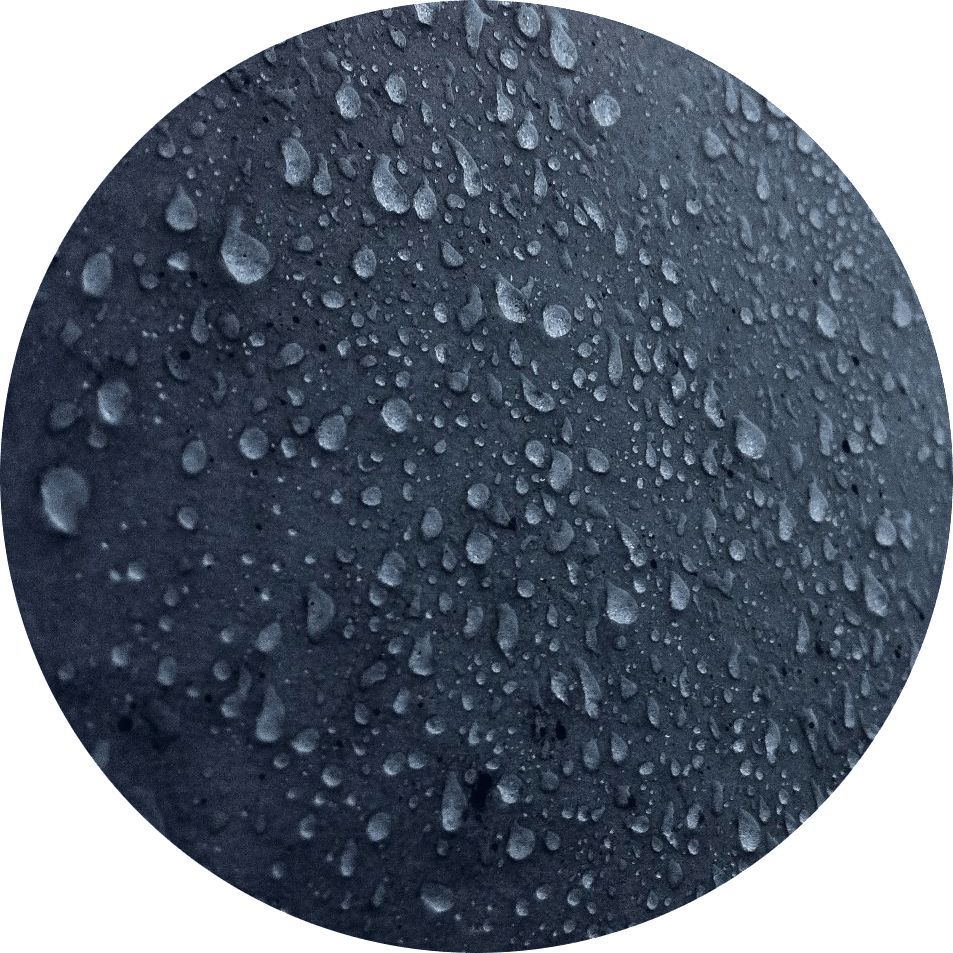 Water-resistant roof after moss proofing treatment