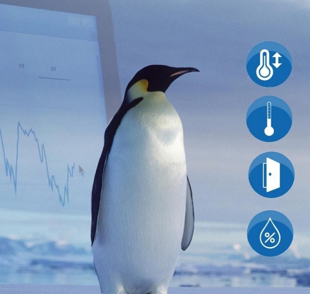 A penguin is standing in front of a screen with a graph on it