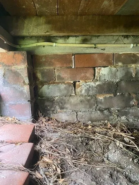Rising Damp Newcastle Home