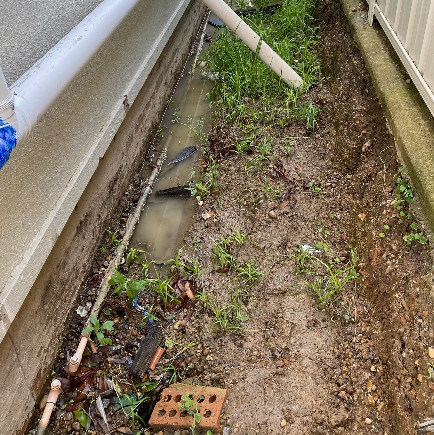 Drainage Issues Sorted | Highly Recommended Builders
