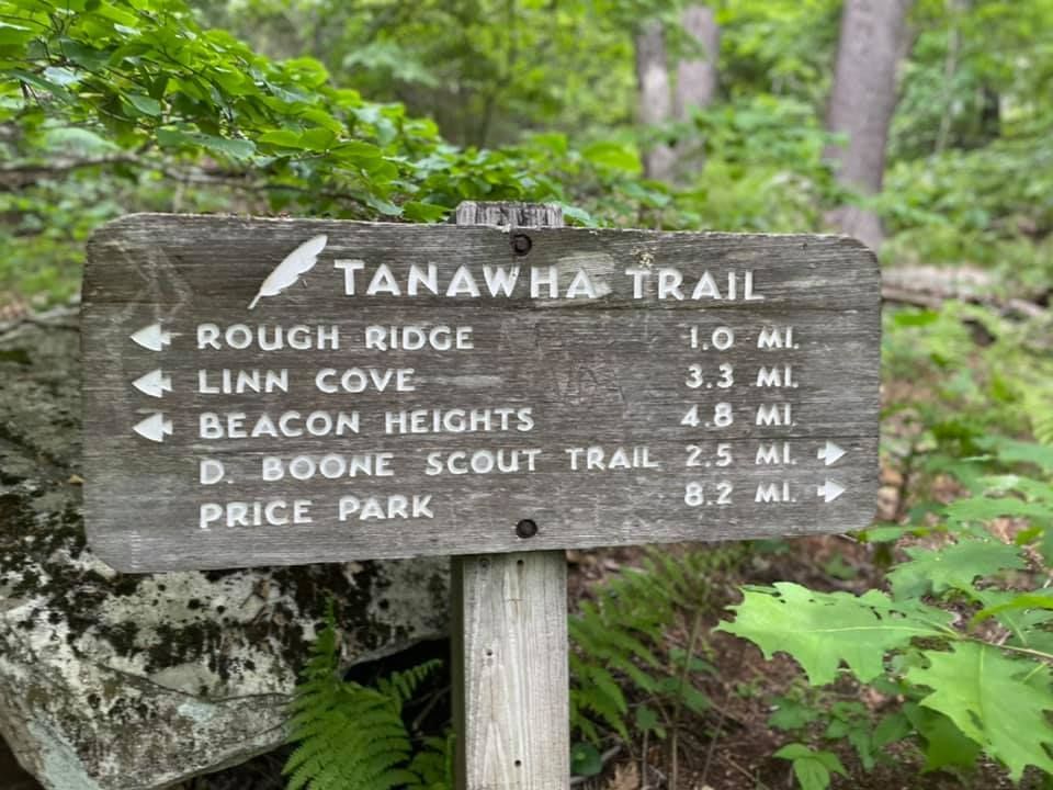 Tanawha Trail wooden sign listing routes and mileages in a forested area
