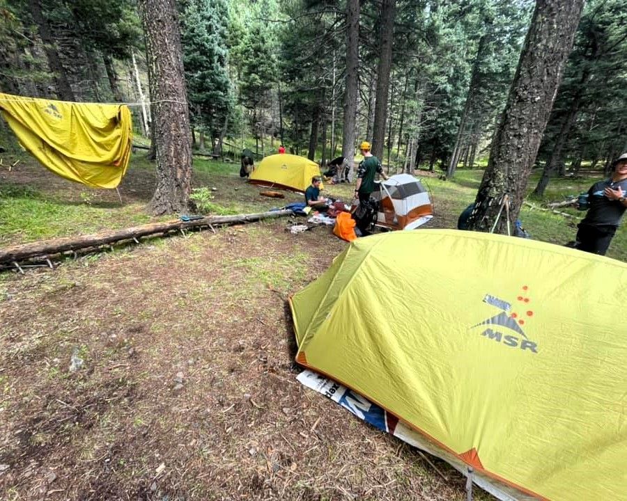 Yellow tents in a forest campsite with people gathered around gear and supplies.