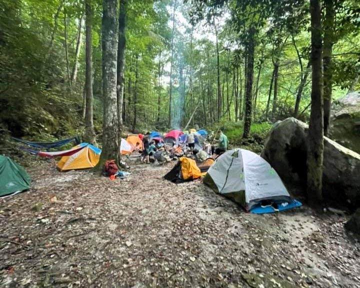 Campsite with colorful tents scattered among tall trees in a forest clearing