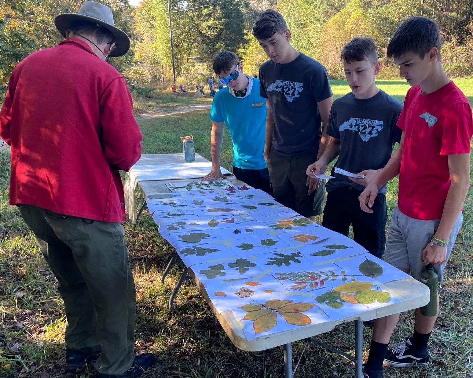 People outdoors examine leaves on a long table while one person in a red jacket stands nearby.