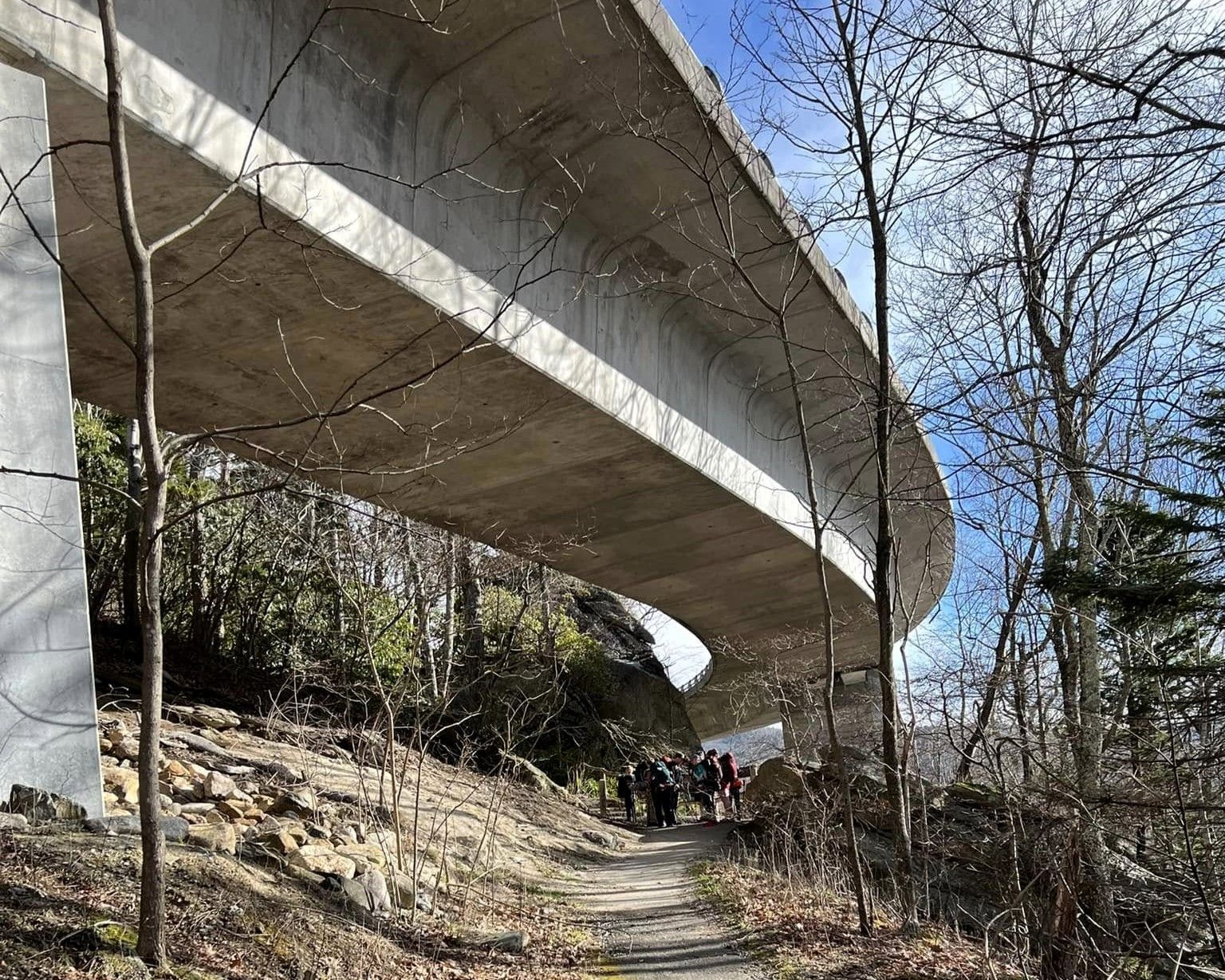Curving concrete bridge over a wooded trail on a sunny day