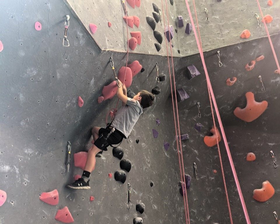 Person rock climbing indoors on a gray wall with pink holds and safety ropes.