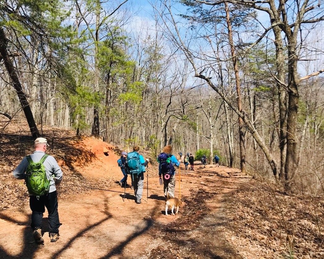 Hikers walking along a muddy forest trail beside a large dirt embankment on a sunny day