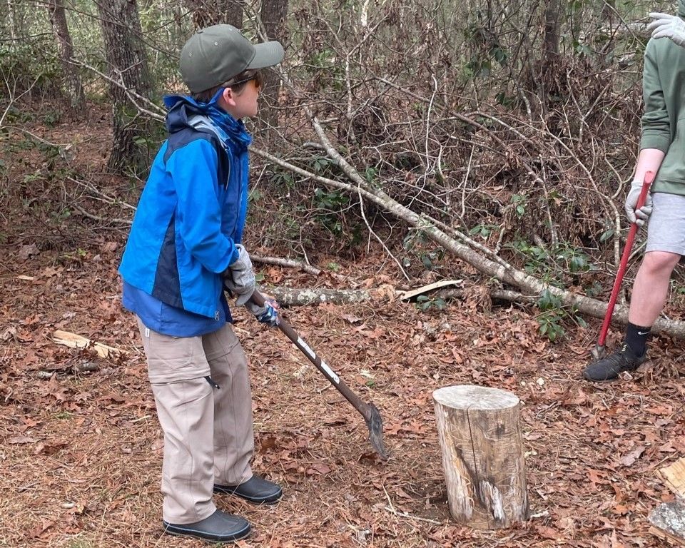 Child in blue jacket and cap holding a stick outdoors near a tree stump in a wooded area.