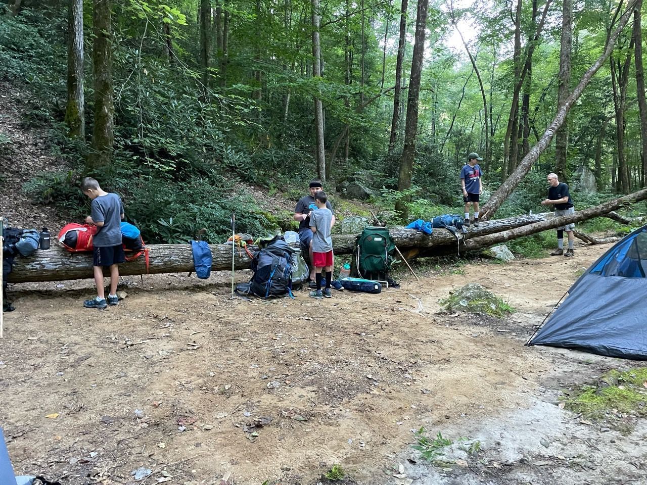 People camping in a wooded area with backpacks, gear, and a blue tent nearby.