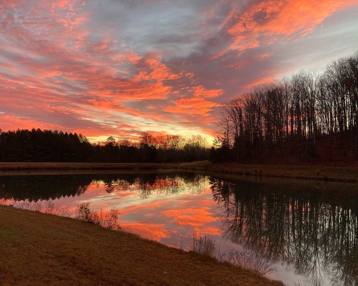 Fiery sunset clouds reflected in a calm lake beside a dark tree-lined shore