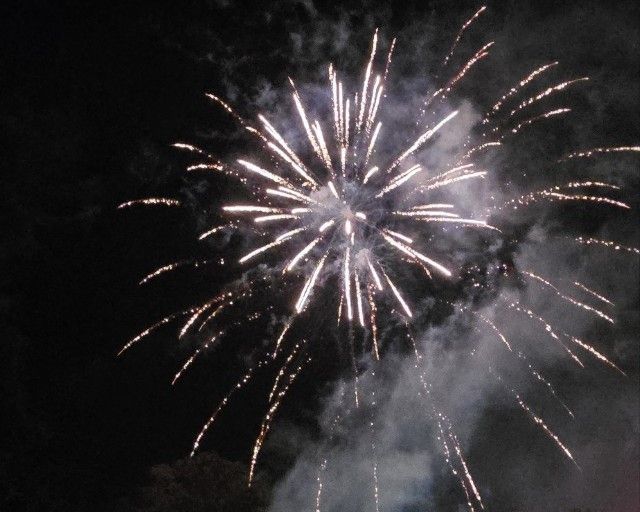 A fireworks display is going off in the night sky
