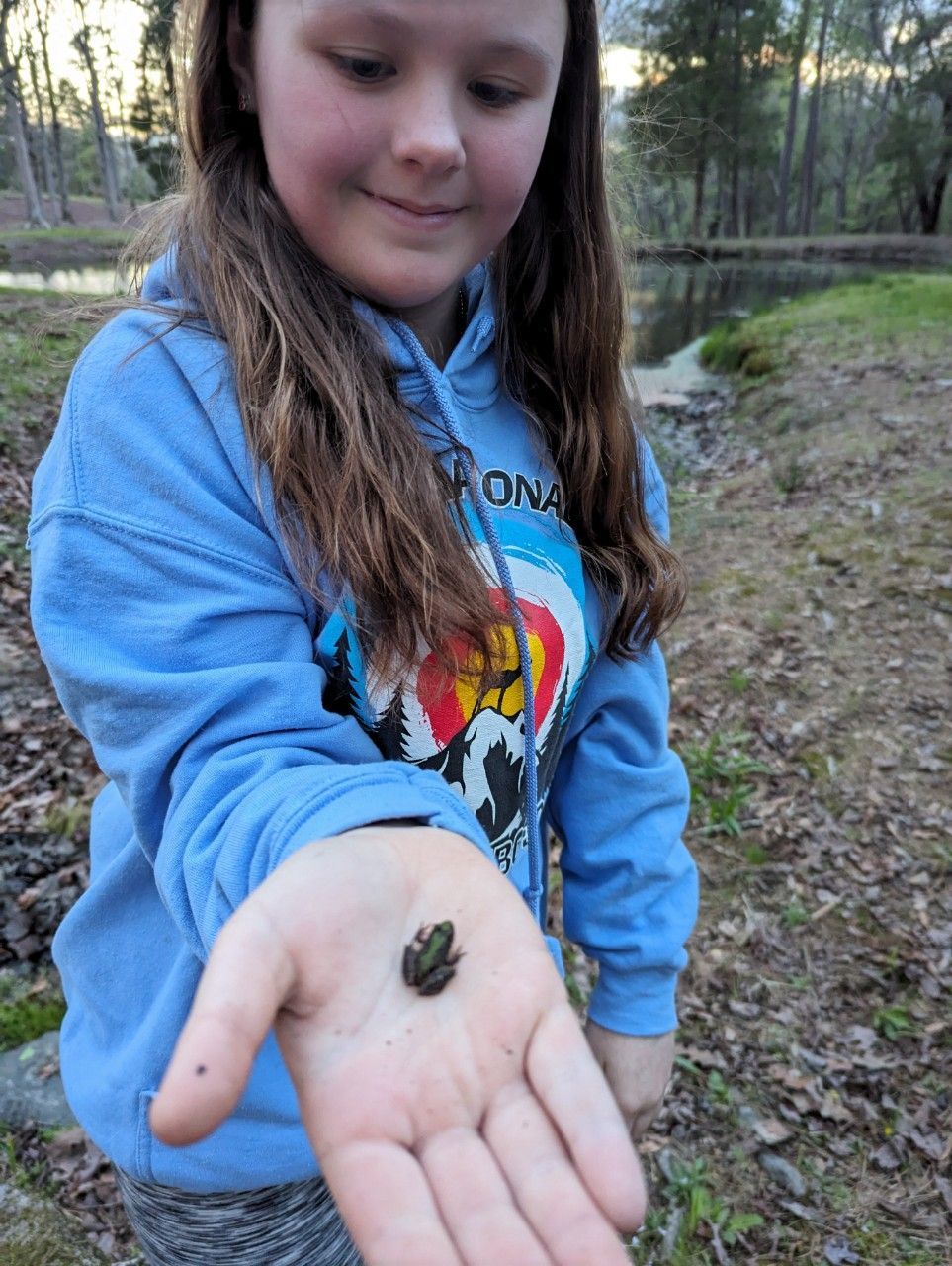too small of a frog to east