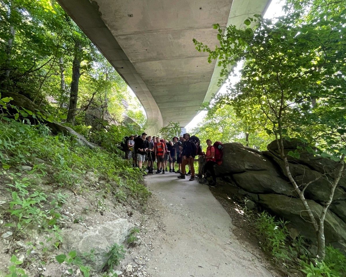 Hikers gathered on a gravel trail under a concrete bridge in a green wooded area