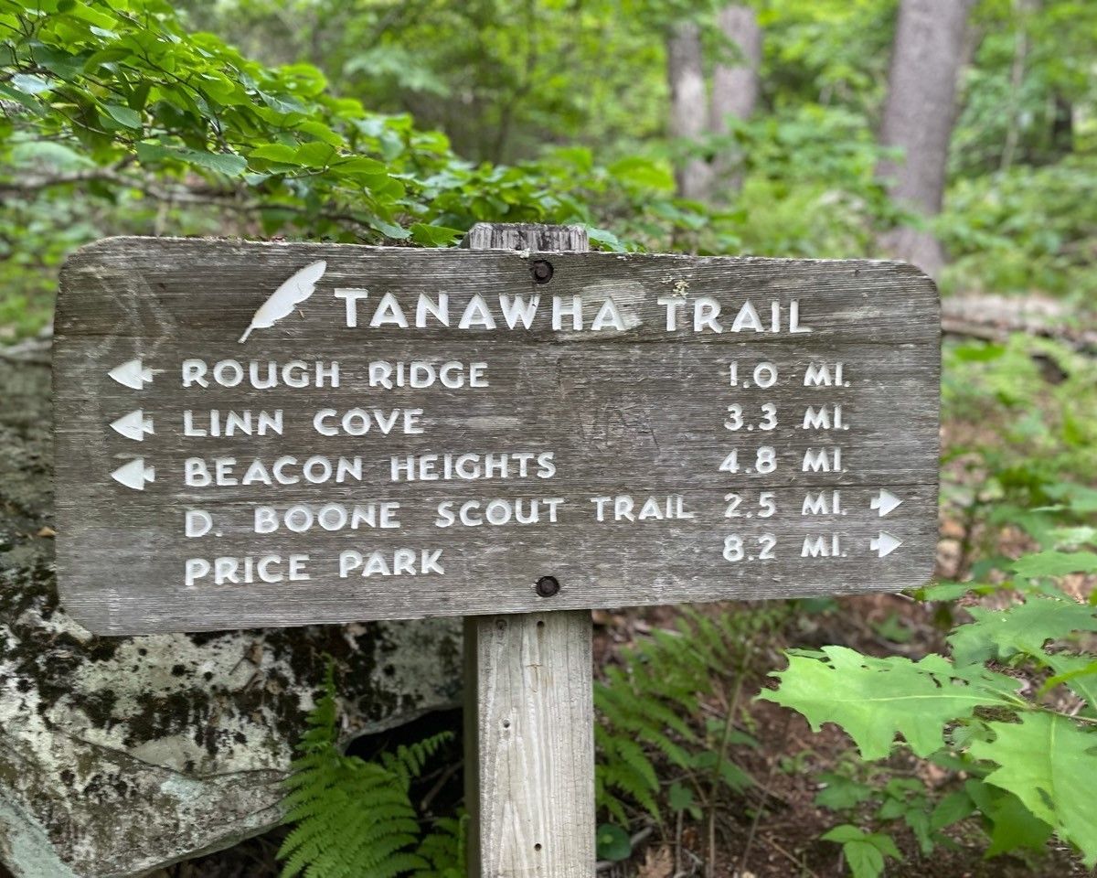 Wooden Tanawha Trail sign listing distances for Rough Ridge, Linn Cove, Beacon Heights, and Boone Scout Trail.