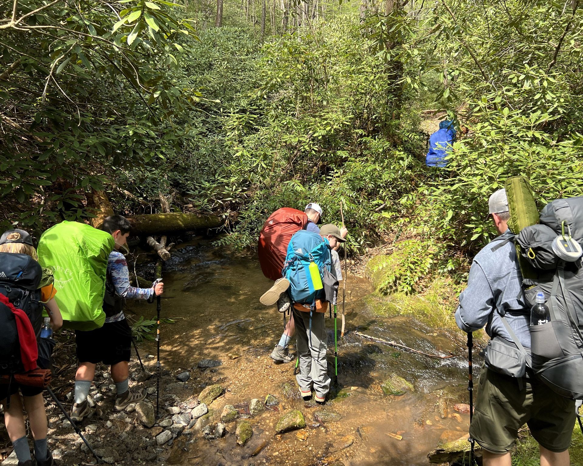 Hikers with backpacks cross a shallow stream on a wooded trail.