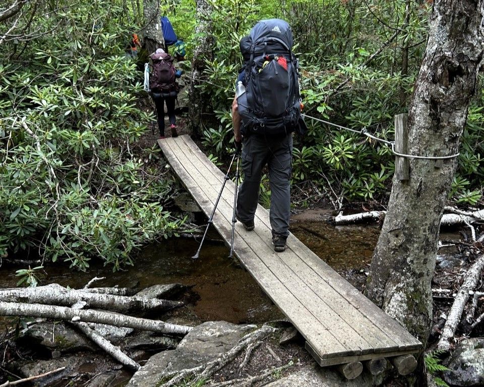 Hikers crossing a narrow wooden bridge over a muddy stream in a dense forest