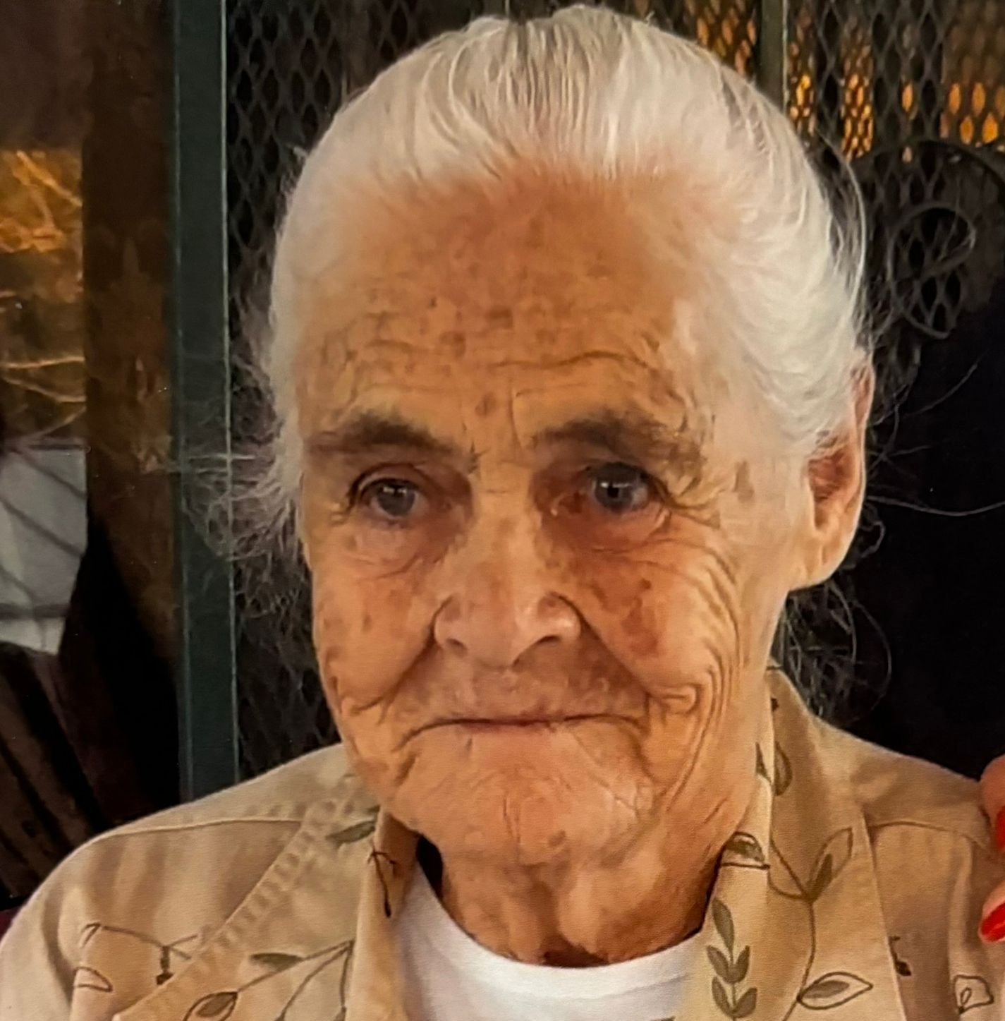 Elia Aida Bernal