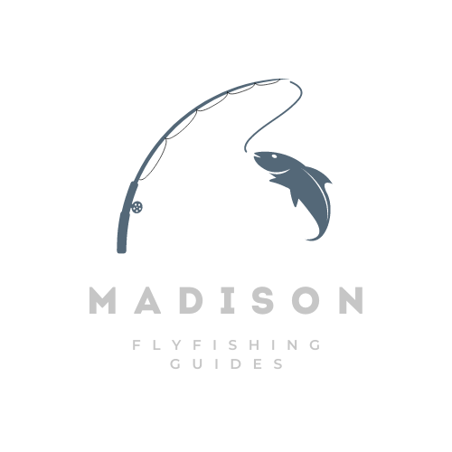 Logo for Madison Flyfishing Guides: fishing rod arched over a jumping fish.