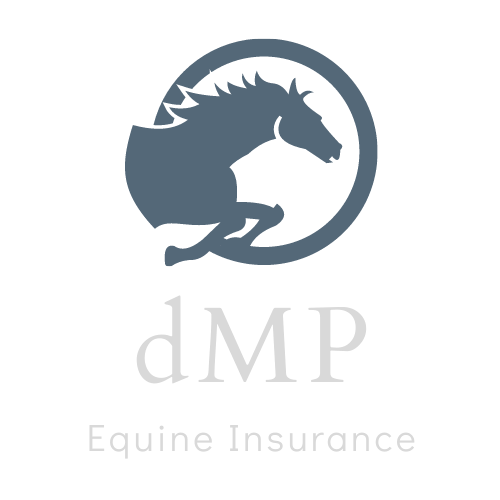 Logo: Gray horse silhouette within a circle above