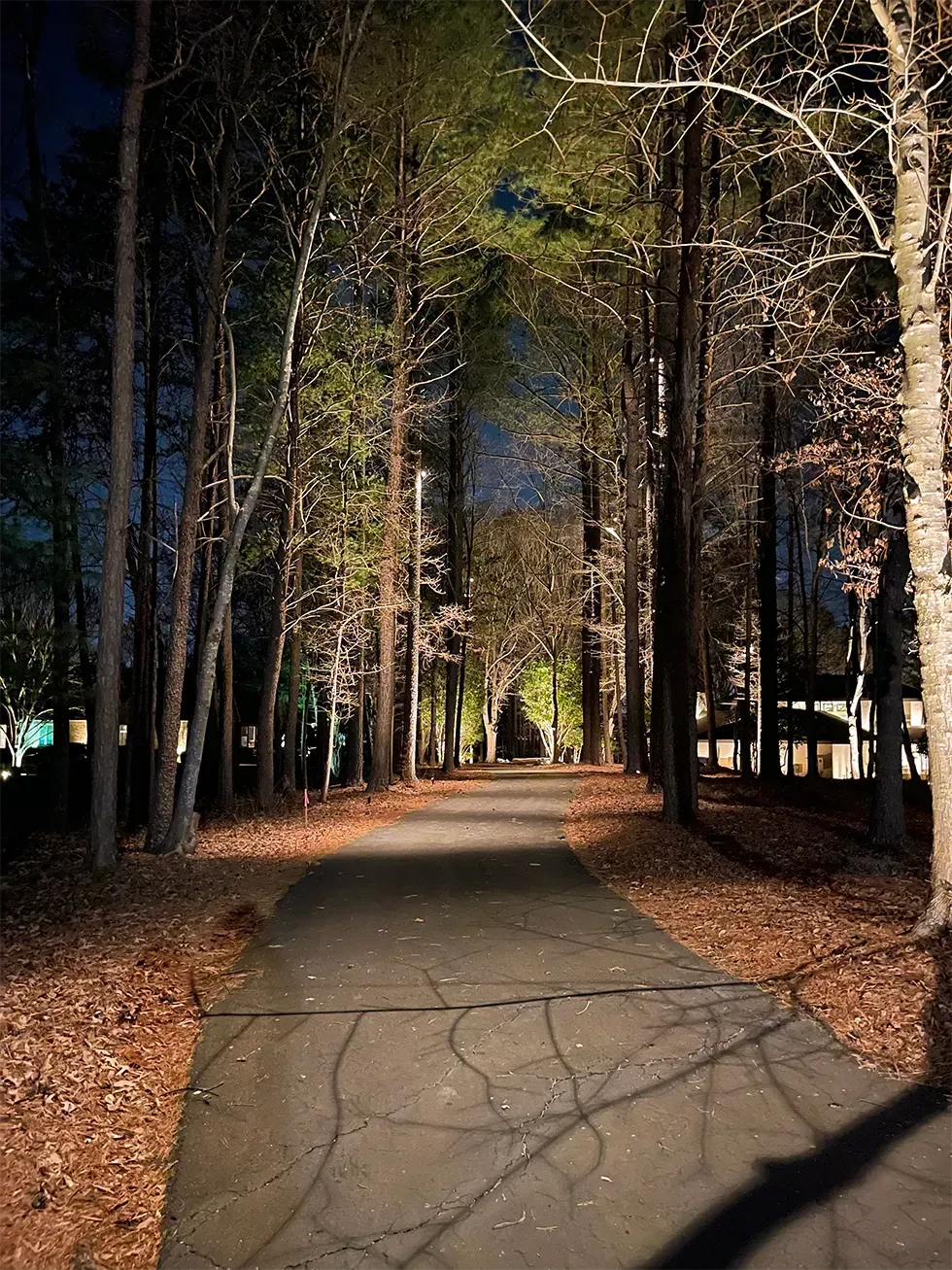 Tree-lined park path in autumn with fallen leaves and long shadows