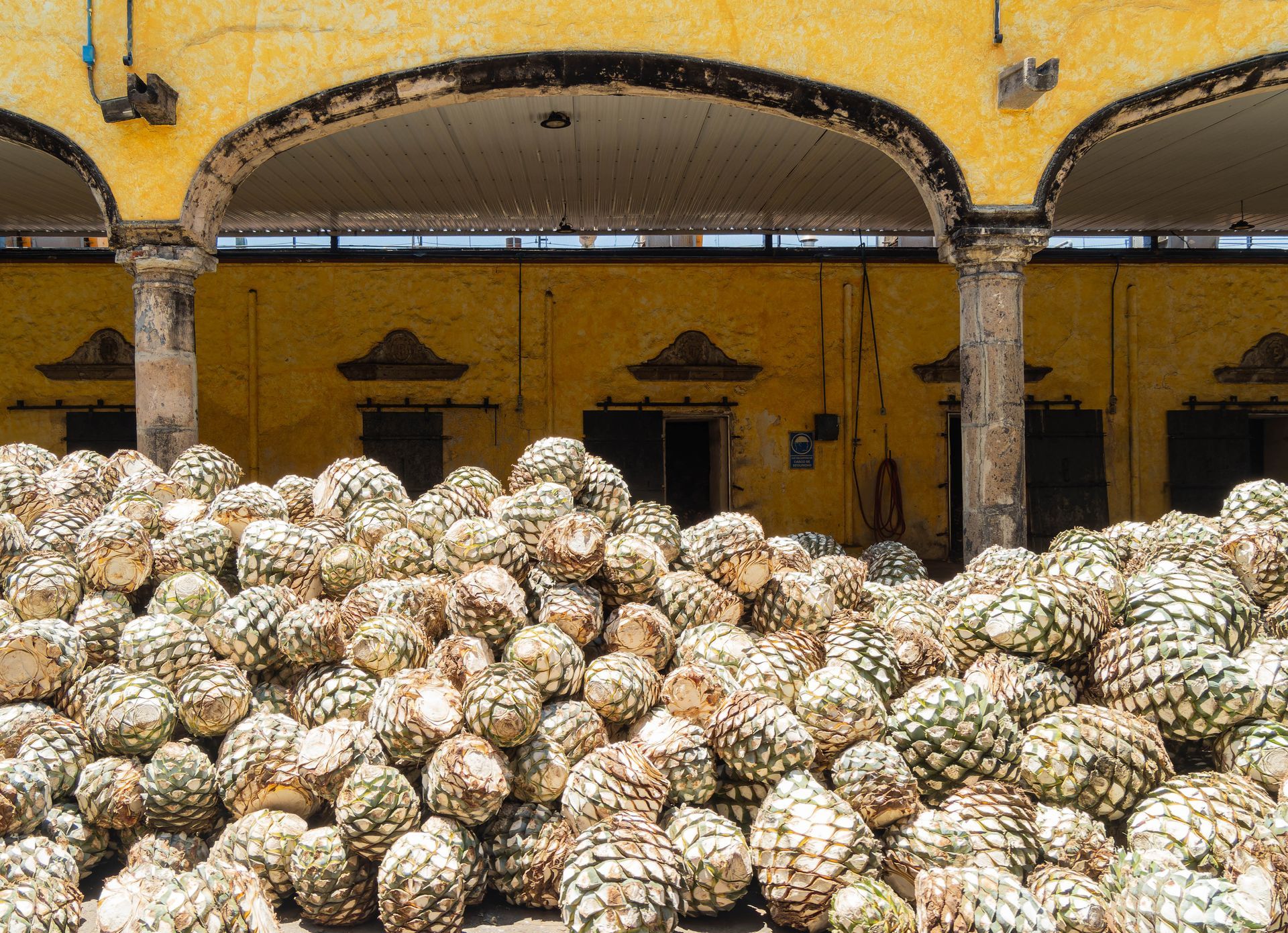 Destilería en tequila Jalisco