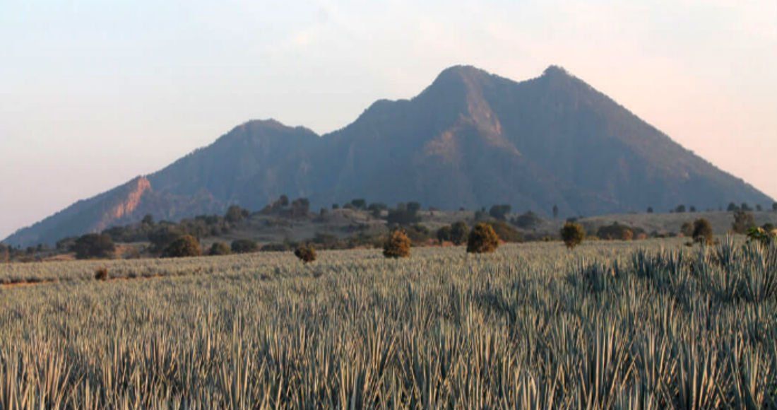 volcan de tequila y paisaje de agave