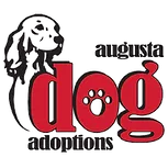 Augusta Dog Adoptions