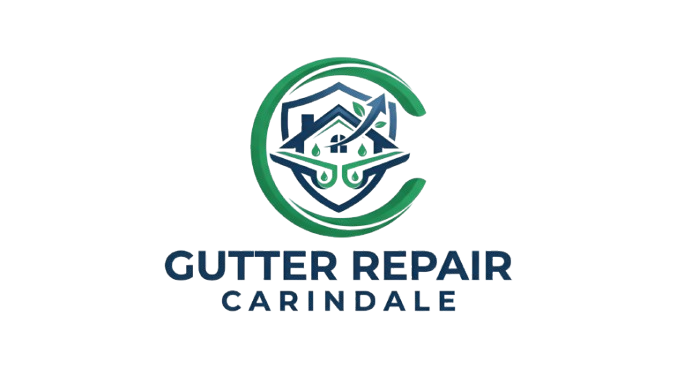Gutter Repair Carindale Logo