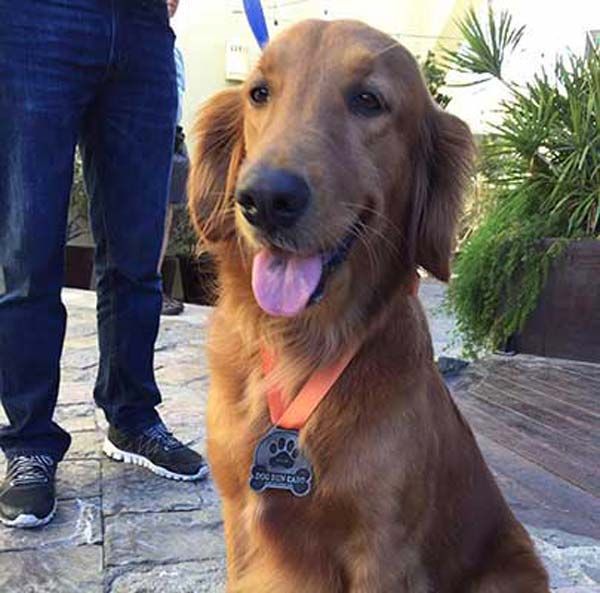 CABO PET HOSPITAL - desde la estética hasta servicios médicos