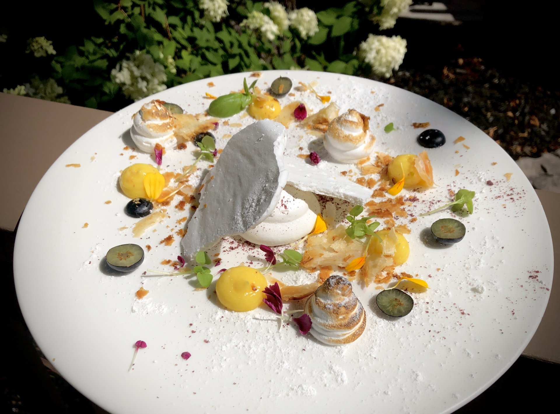 The Martini House Burlington, Oakville, Hamilton