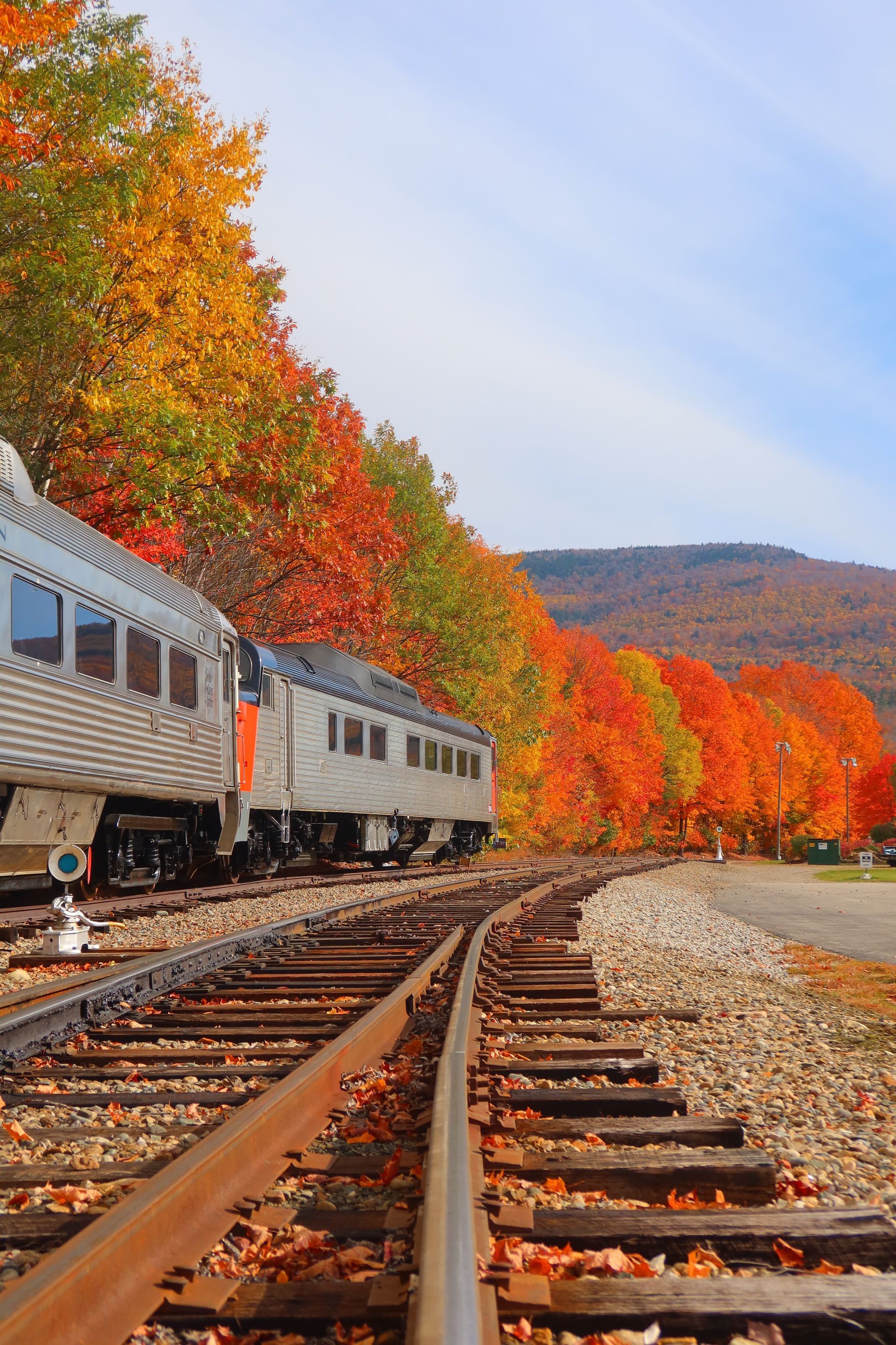 A train is on the tracks with trees in the background