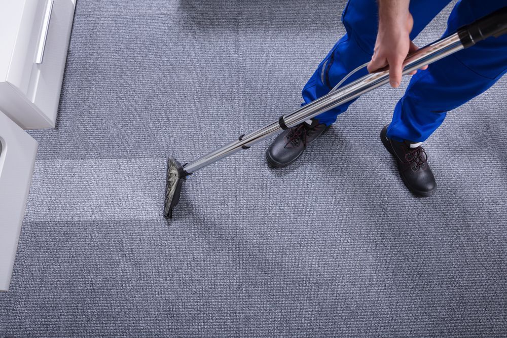 Person in Blue Uniform Vacuuming Grey Carpet — Chemdry D & K in Geelong, VIC